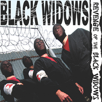 Revenge Of The Black Widows